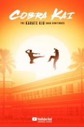 Cobra Kai http://netplay.ipgatelb.com/tv?year=2018