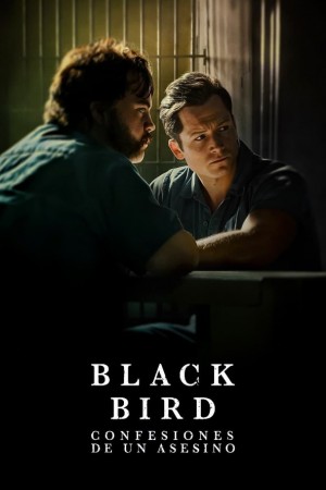 black bird http://netplay.ipgatelb.com/tv?year=2022