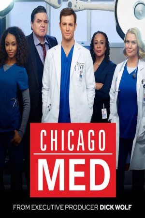 Chicago Med http://netplay.ipgatelb.com/tv?year=2015