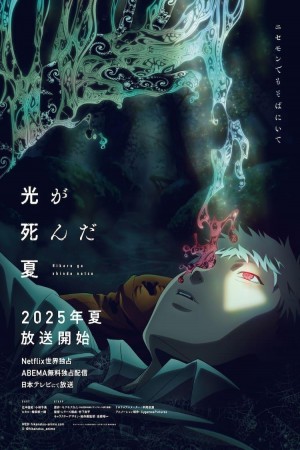 The Summer Hikaru Died http://netplay.ipgatelb.com/cartoons?year=2025