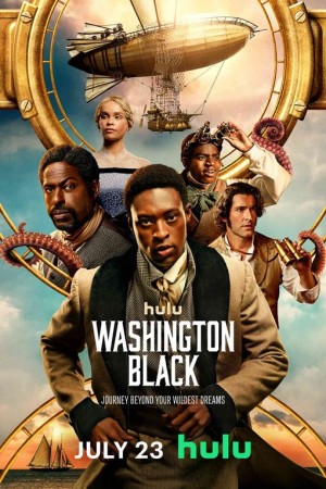 Washington Black http://netplay.ipgatelb.com/tv?year=2025