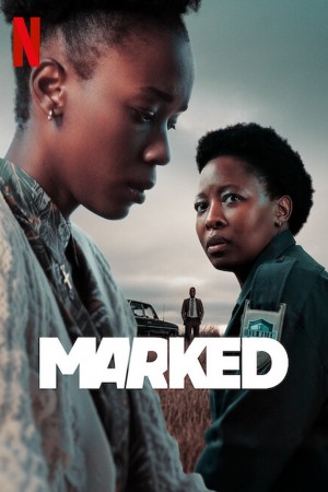 Marked http://netplay.ipgatelb.com/tv?year=2025